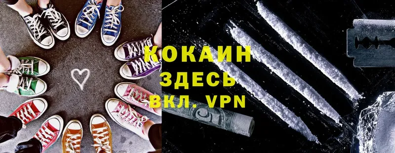 КОКАИН Fish Scale  как найти закладки  Гвардейск 